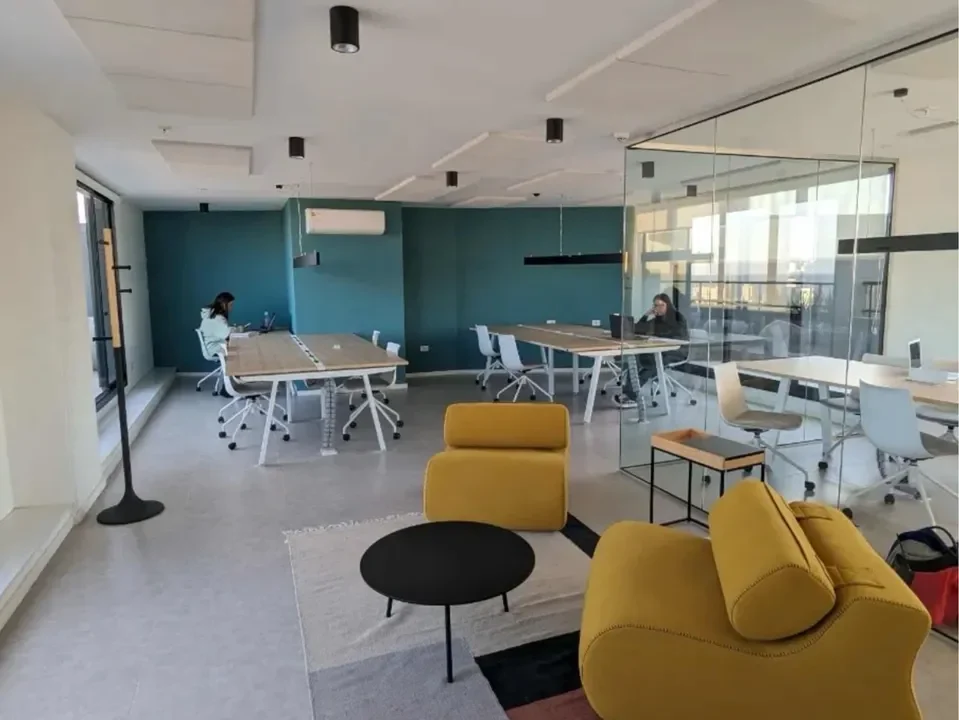 D_919383-MLU105315004672_012026-F