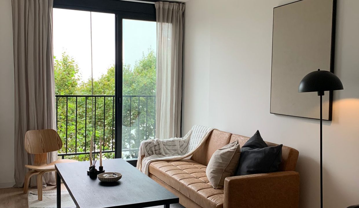 0.19832800_1731332827